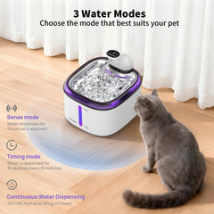Modo temporizado mantiene el agua fluyendo periódicamente para captar interés.