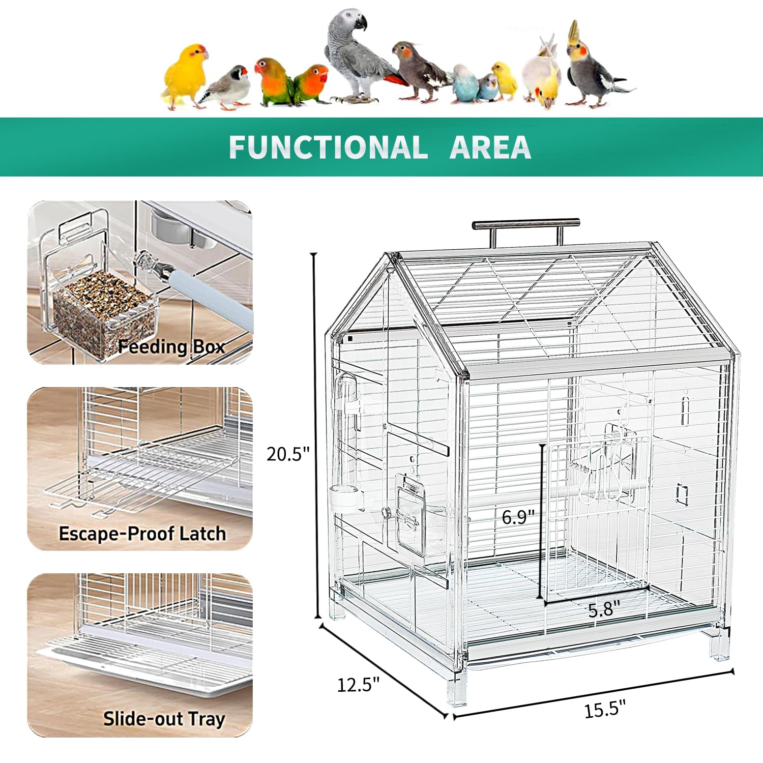 Jaula AideeGrowth para aves pequeñas, vista panorámica para ver el comportamiento.