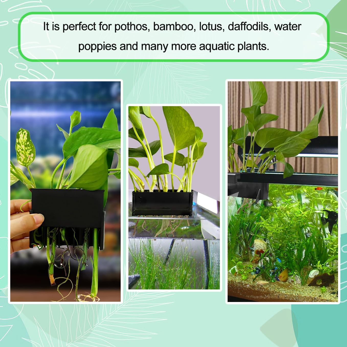 Aidmi portaplanta para acuario crea un paisaje acuático atractivo y purificador visual