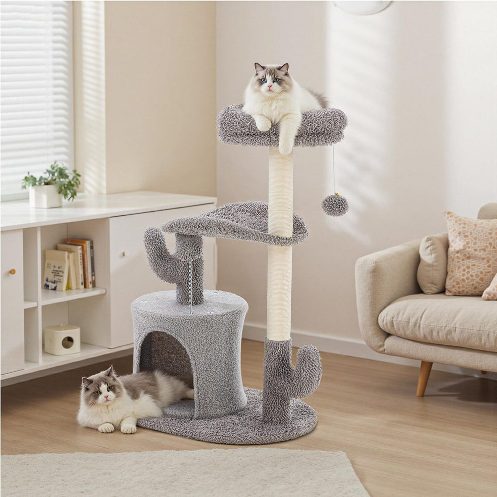 Aidoly uso interior para gatos brinda comodidad, juego y descanso en espacios interiores.