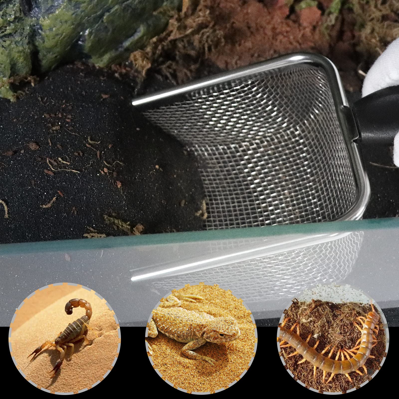 Aiicioo uso múltiple para reptiles, tortugas y anfibios en terrarios.