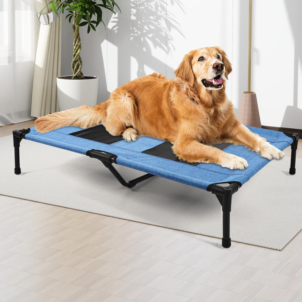 Cama elevada Aimease para perro con malla transpirable en azul, ideal verano