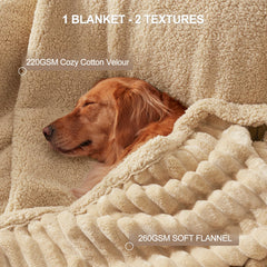 AIPERRO manta impermeable, capa TPU integrada, mantiene seco al cachorro.
