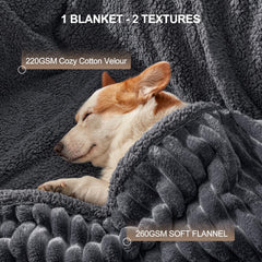 AIPERRO manta: protege cama y sofá contra líquidos y manchas