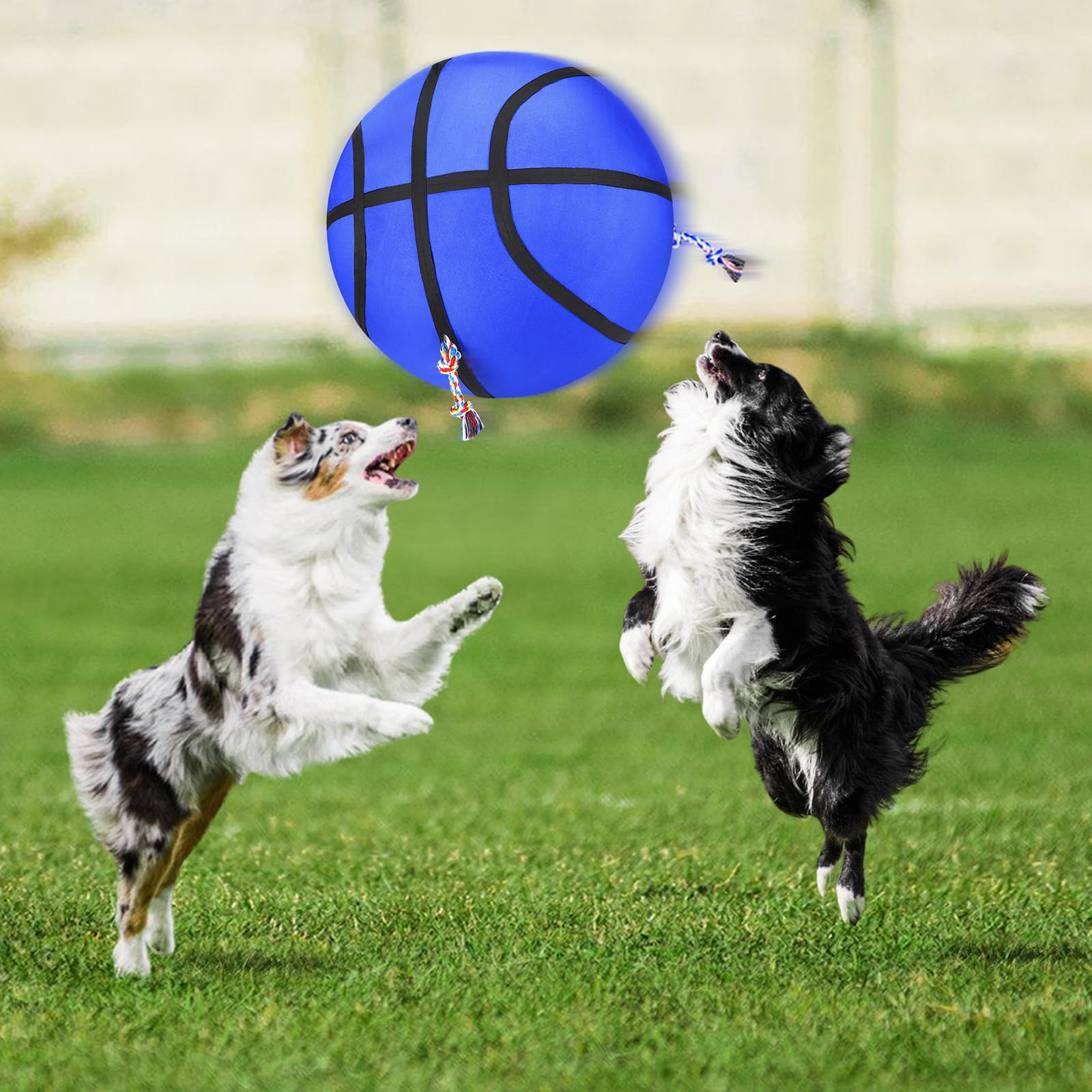 Tamaño grande de 25 pulgadas de AIPERRO, ideal para razas medianas y grandes