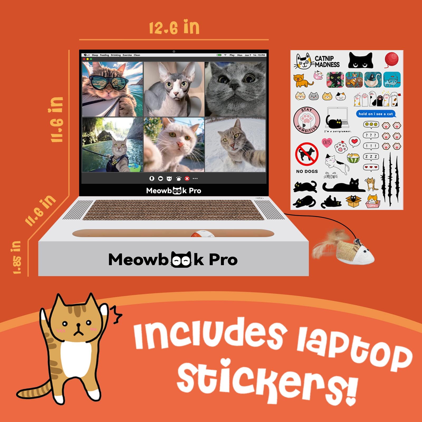 AIWEILUCK portatil-gato-con-raton: experiencia de juego realista para gatitos curiosos.