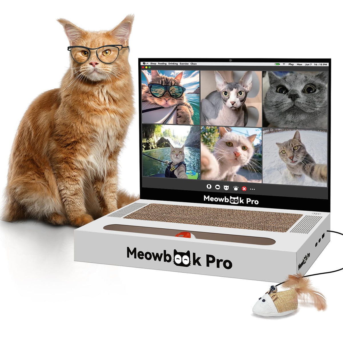 AIWEILUCK rascador-gato-portatil para entretenimiento seguro y juego interactivo.