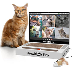 AIWEILUCK rascador-gato-portatil para entretenimiento seguro y juego interactivo.