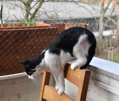 AIYGO red en cuatro tamaños, versatilidad para ventanas y balcones.