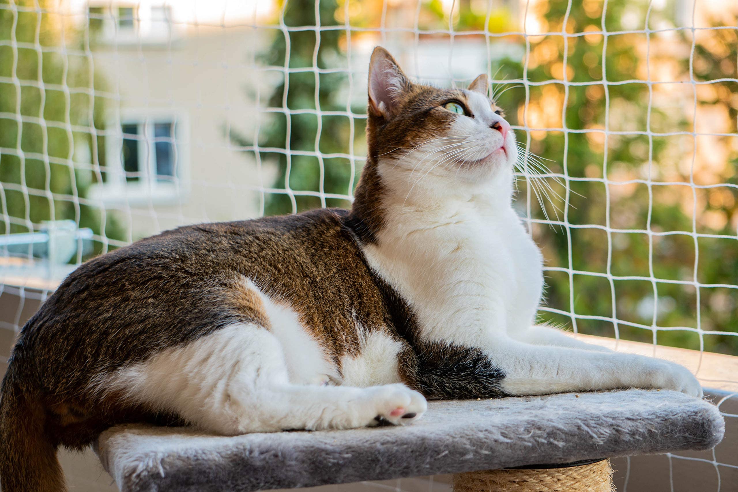 AIYGO red de balcón para gatos, malla transparente que mantiene la vista y seguridad.