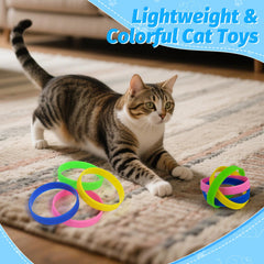 AKAIXI Brazaletes para Gato Coloridos: colores brillantes para atraer su atención
