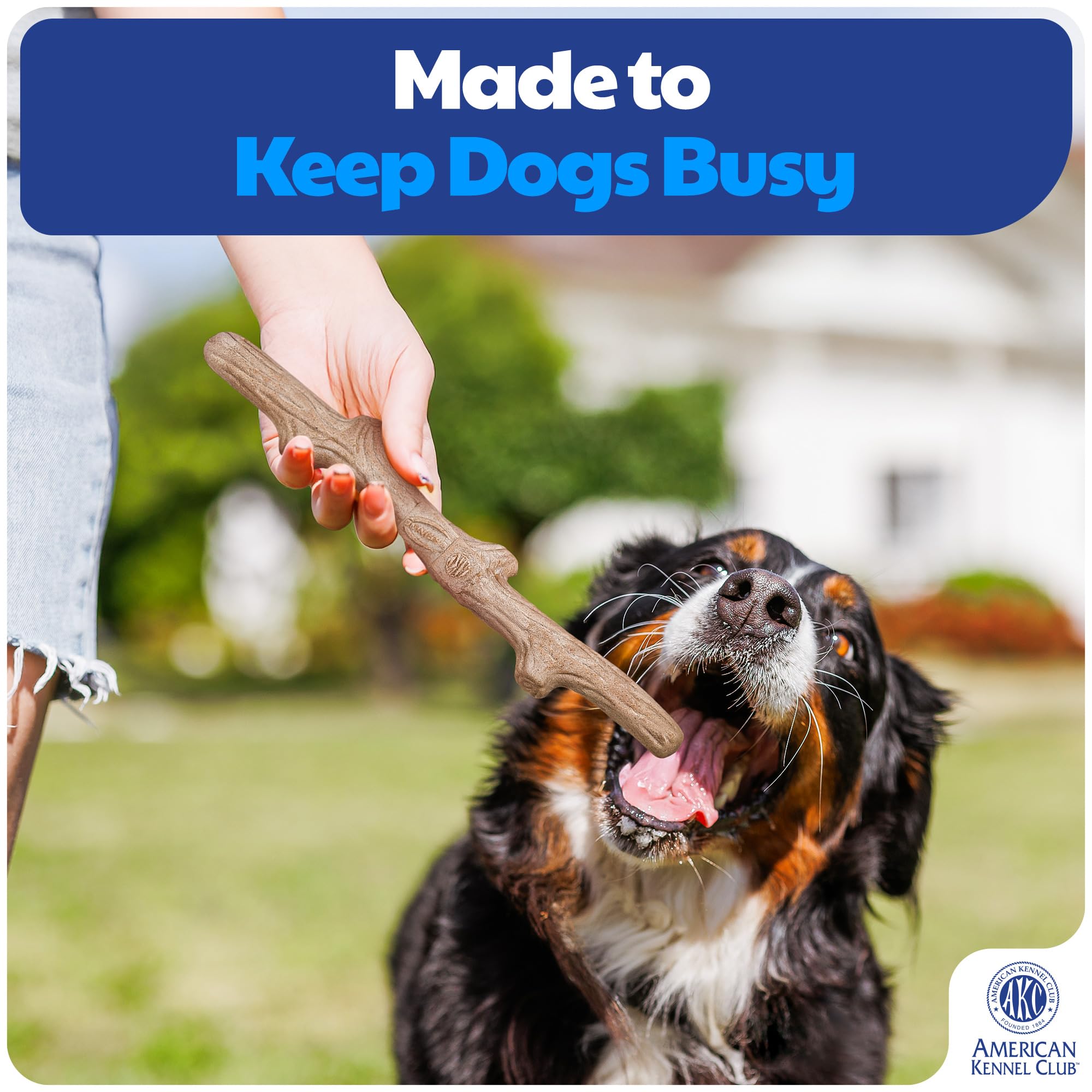 AKC Juego de entrenamiento y educación para perros que mejora la concentración.