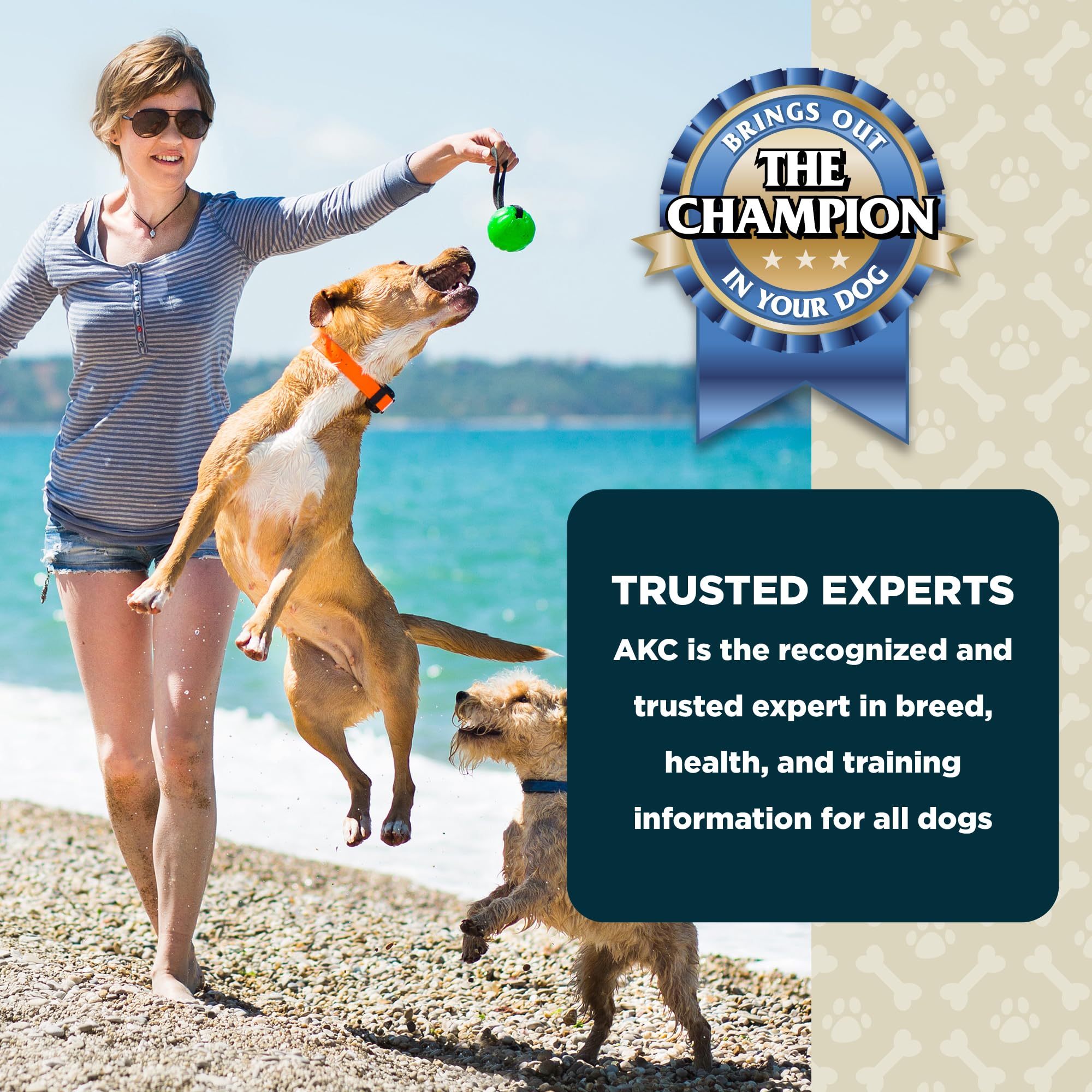 AKC Lil Champs presentación de 12 onzas para compartir.