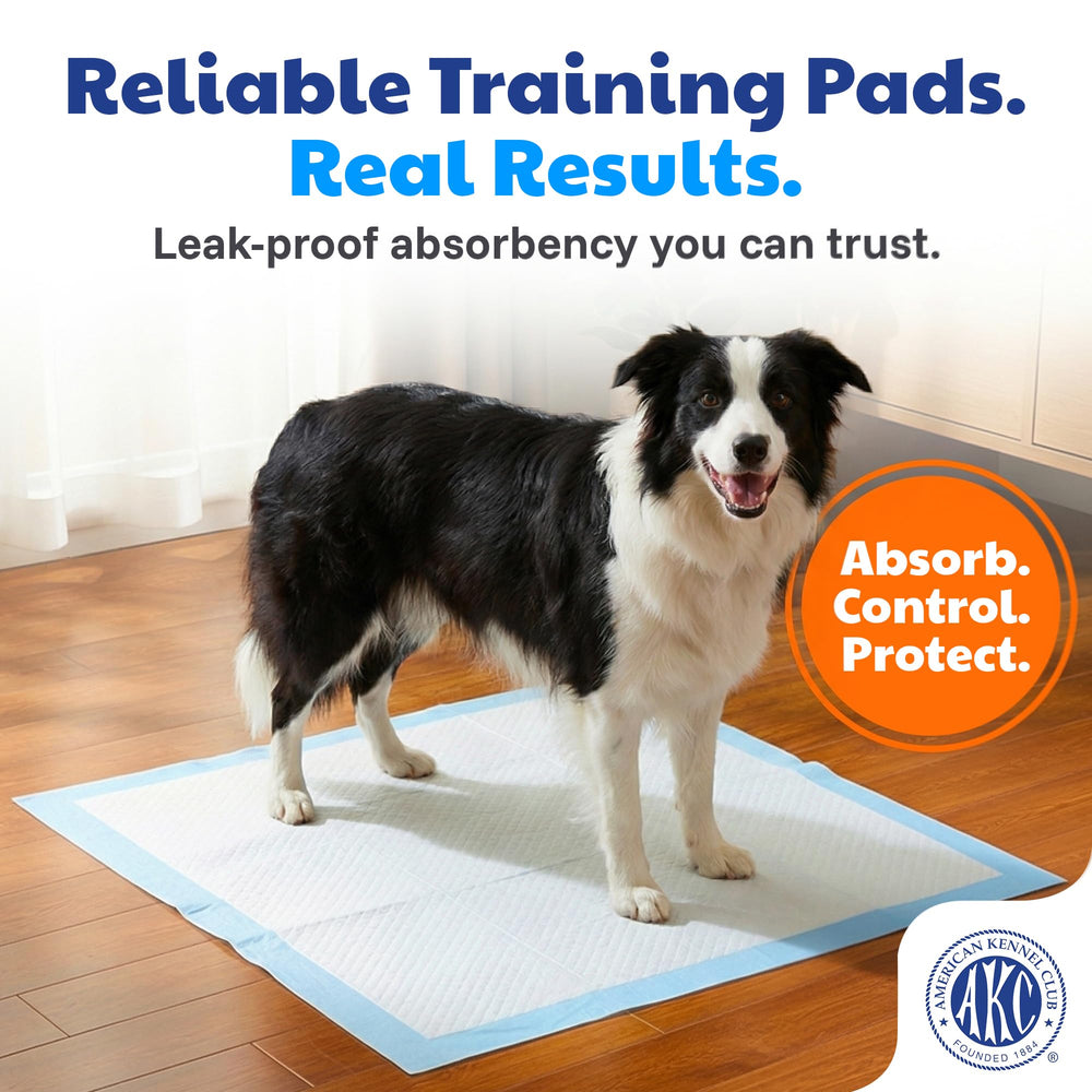 Almohadilla AKC de secado rápido para mantener patas limpias.