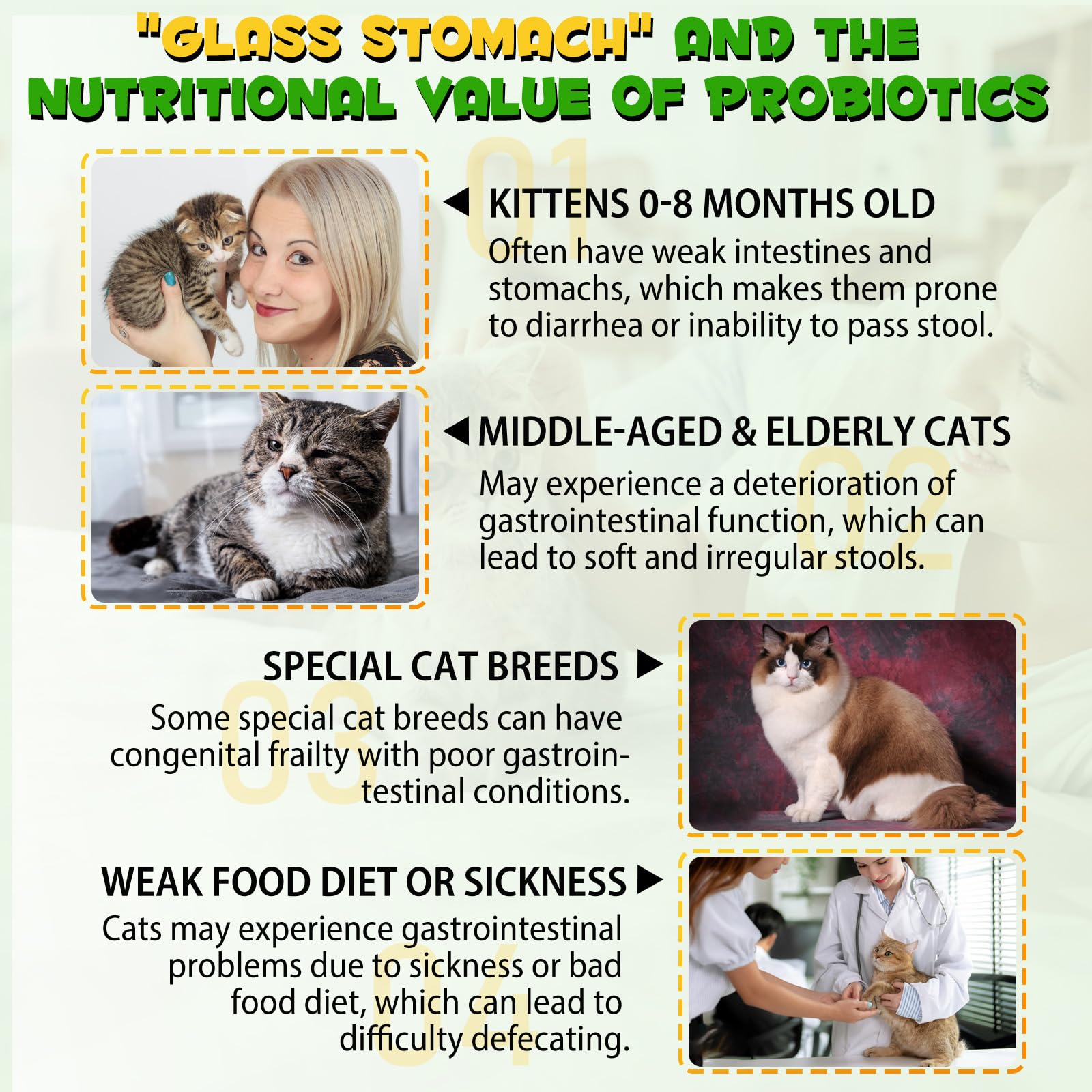 Laxante para gatos Akeeronn con gotero: dosificación precisa para comidas