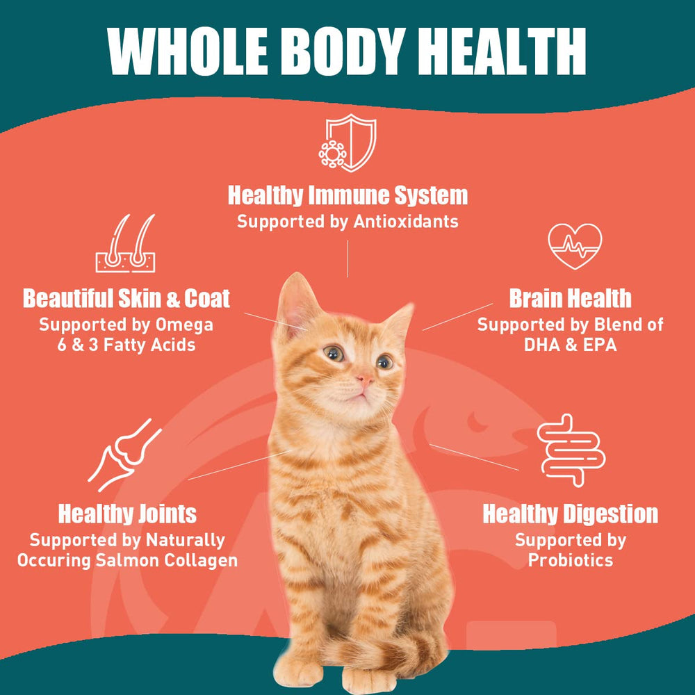 Alaskan Gold SUPER3+ proteína alta para músculos fuertes.