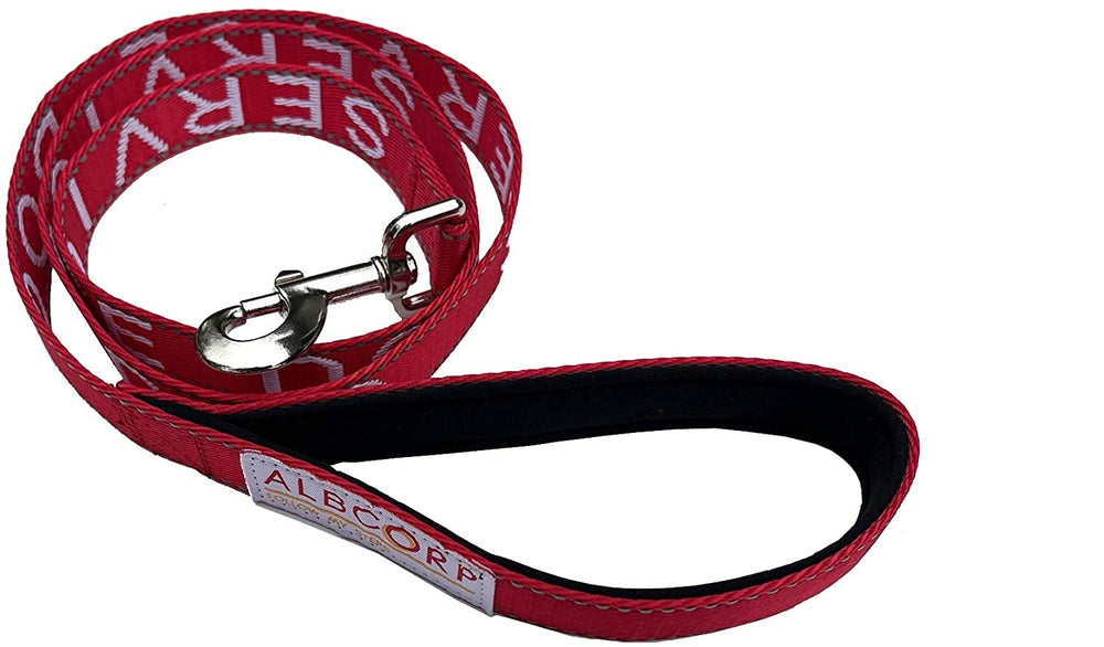 Albcorp Gancho metalico anticorrosivo sujeta con seguridad a arnés o collar.