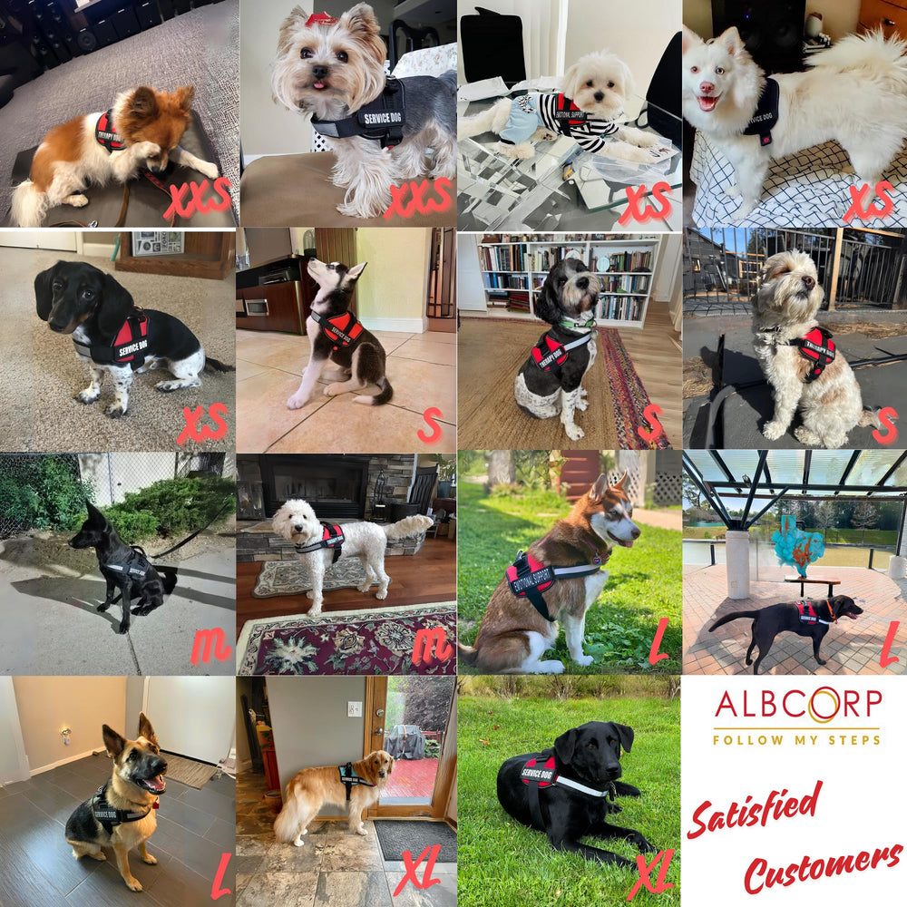 ALBCORP Service Dog Vest acolchado de malla para comodidad diaria.