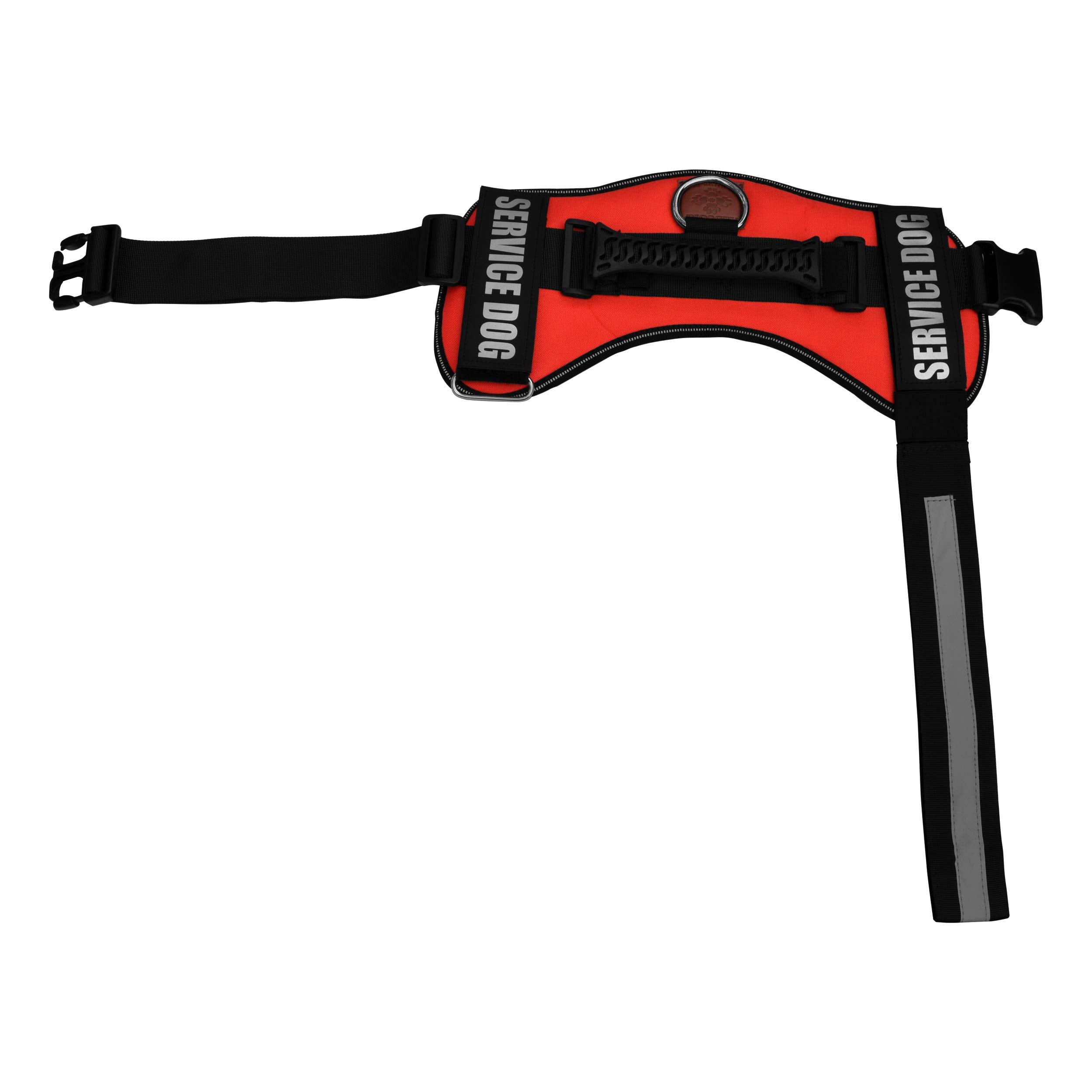 ALBCORP ajuste de talla correcto para mayor seguridad y comodidad.