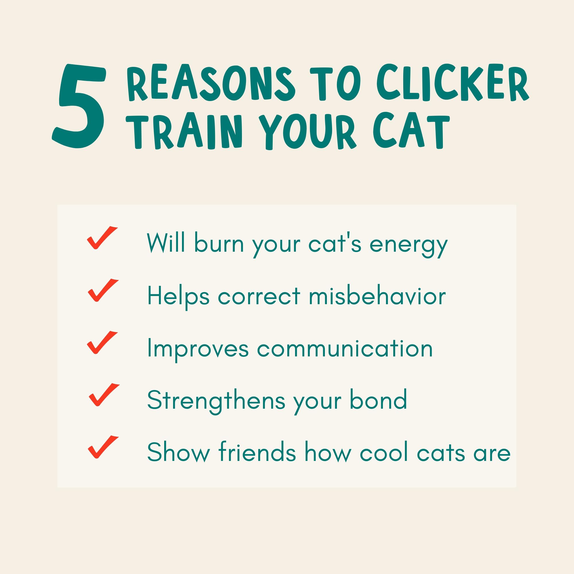 ALBERT & MIA sesiones interactivas para gatos que mejoran atención