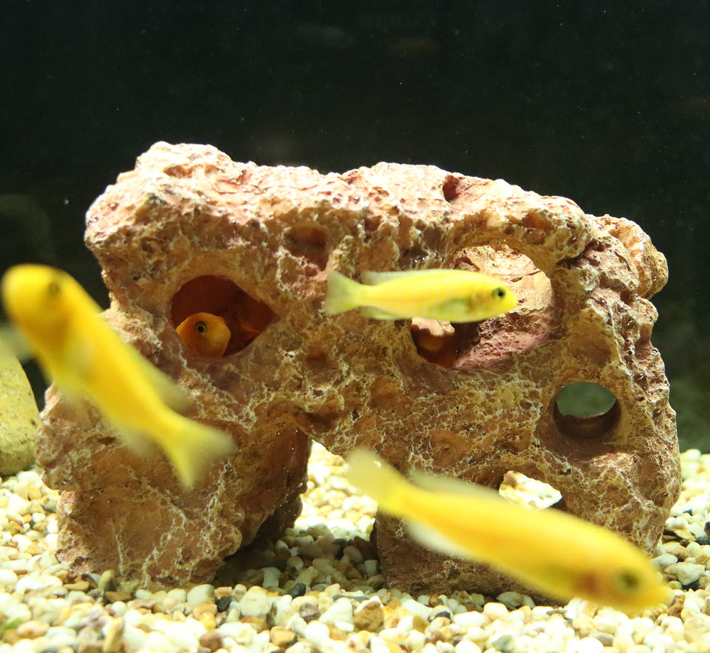 ALEGI decoracion acuario grande 8-5x6x4-5 pulgadas