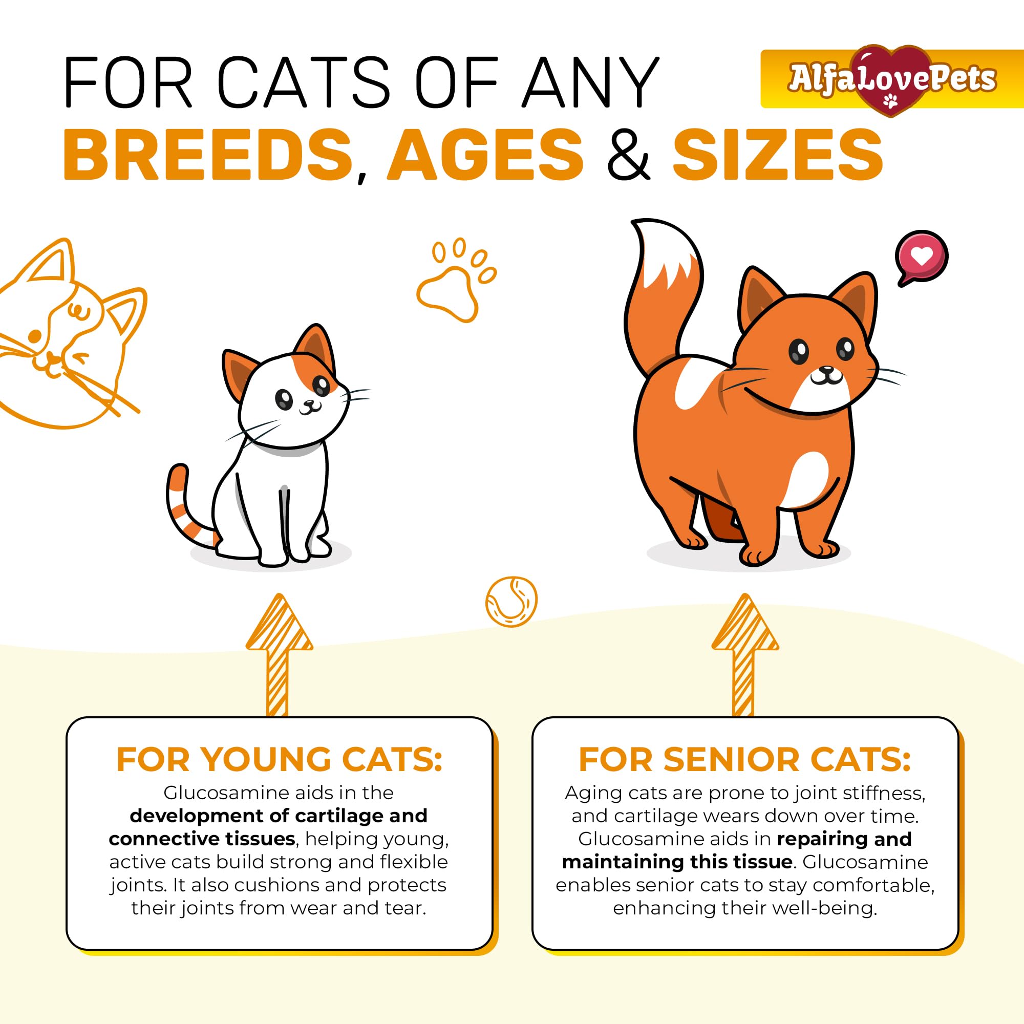 Frasco de Alfa Love Pets dispensación fácil para uso diario en gatos