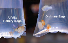 AlfaEx Bolsas transparentes para bettas con visualización clara durante el traslado