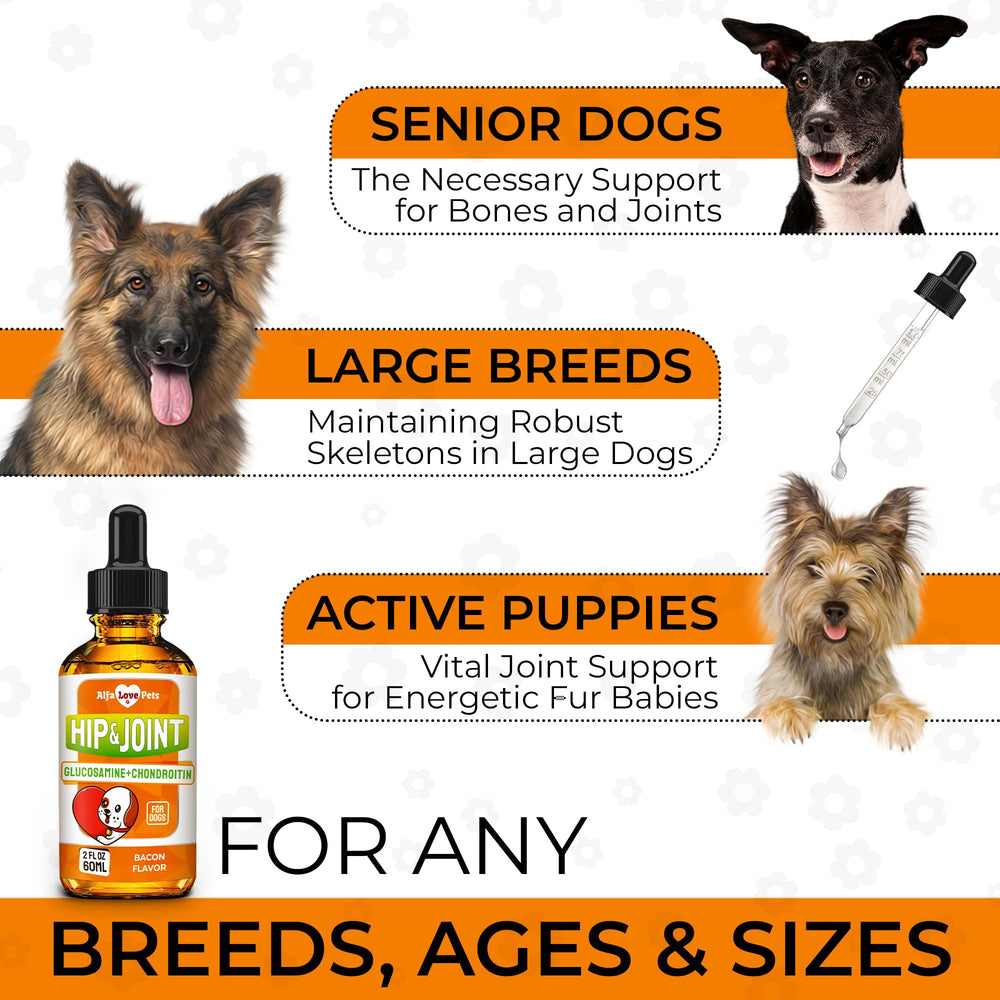 Alfa Love Pets glucosamina para perros: administración directa y fácil