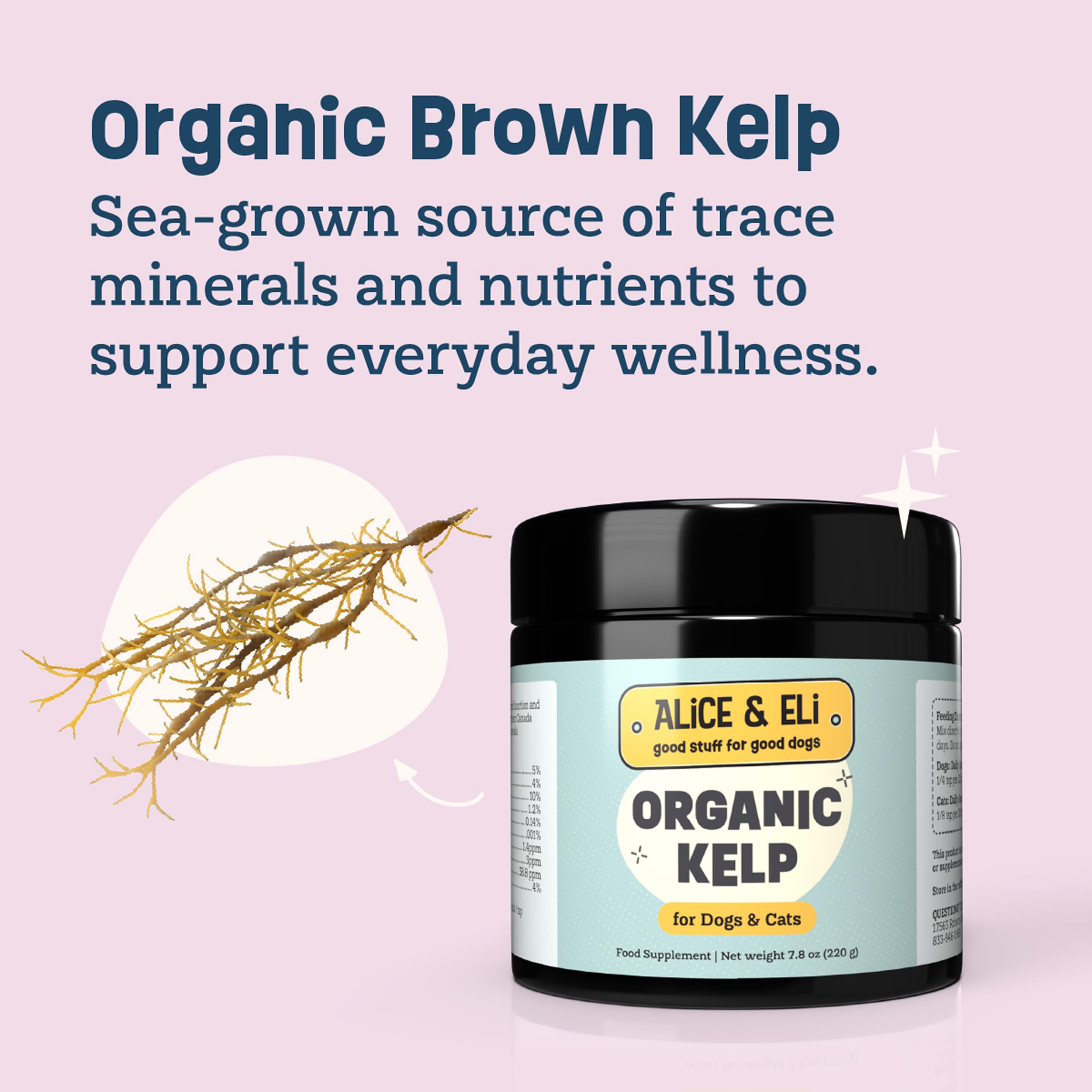 Pelaje saludable y brillo gracias al polvo de alga kelp de Alice & Eli