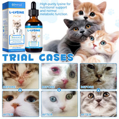 ALIVO Lisina para Gatos: ojos brillantes gracias a vitaminas.