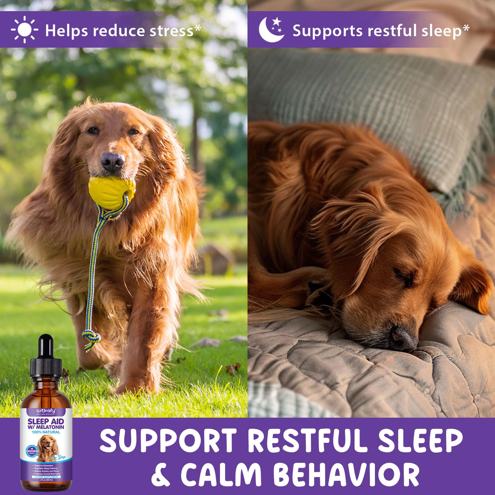 Pet-friendly Sleep: perro descansando gracias a ALIVO Melatonina sabor tocino.