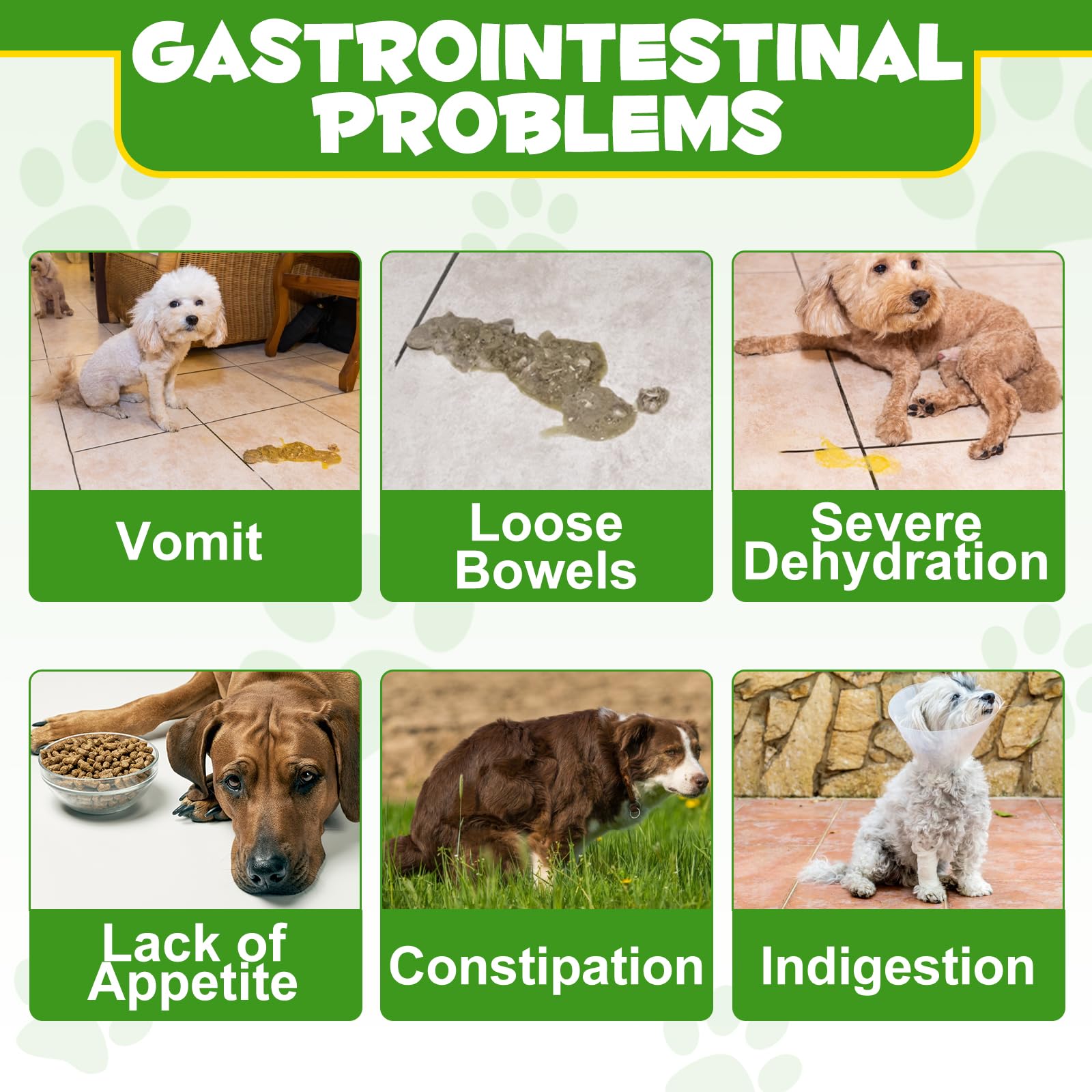 ALIVO Probiotics Polvo para perros con 5mil CFU por porción para equilibrio intestinal.