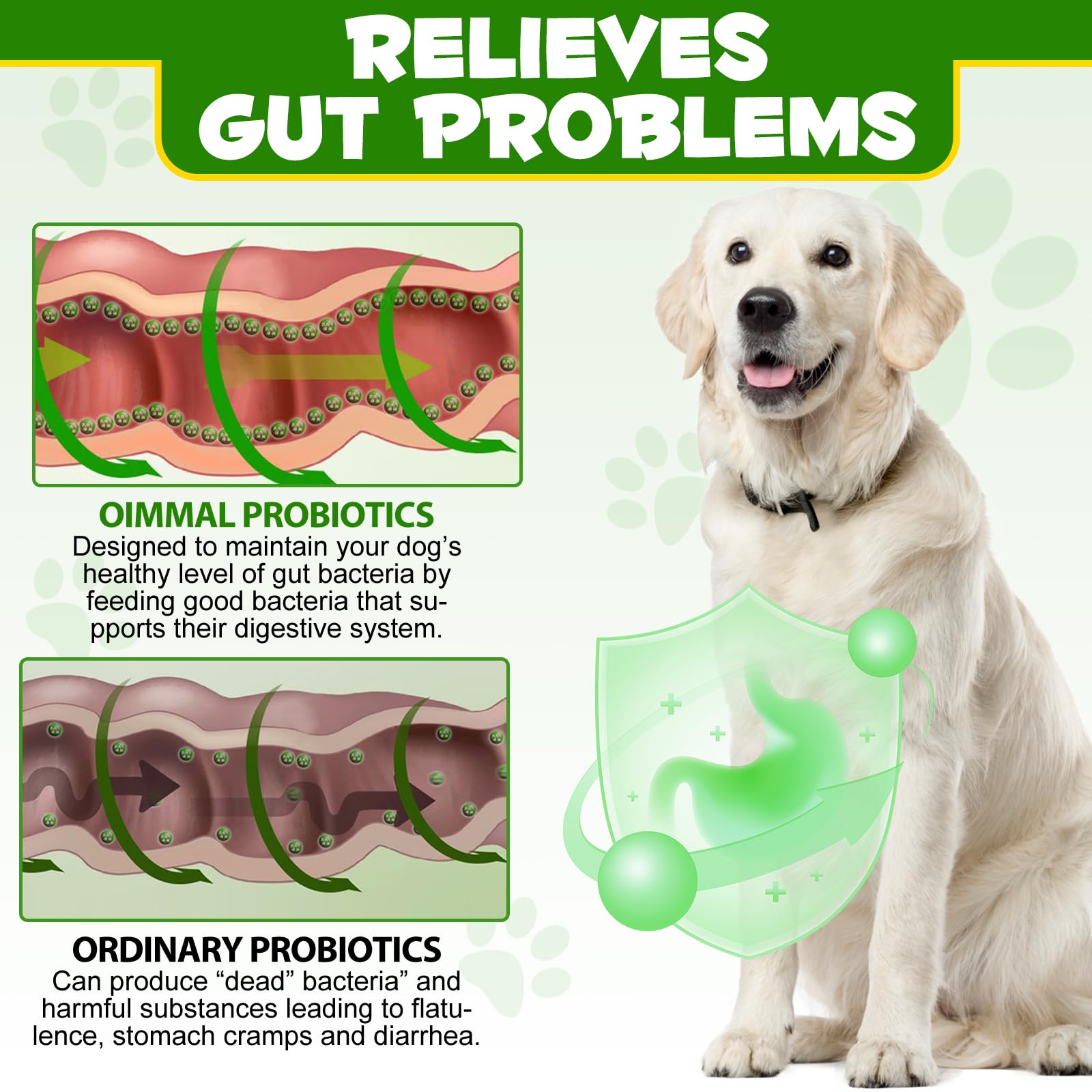 ALIVO Probiotics Polvo para perros reduce alergias estacionales de manera posible.