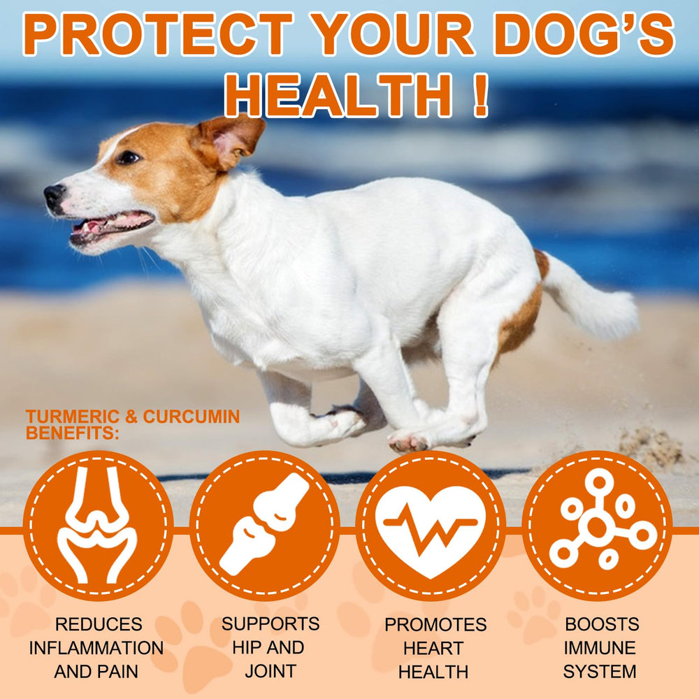 ALIVO Turmeric para perros, cápsulas suaves para salud articular y digestiva.