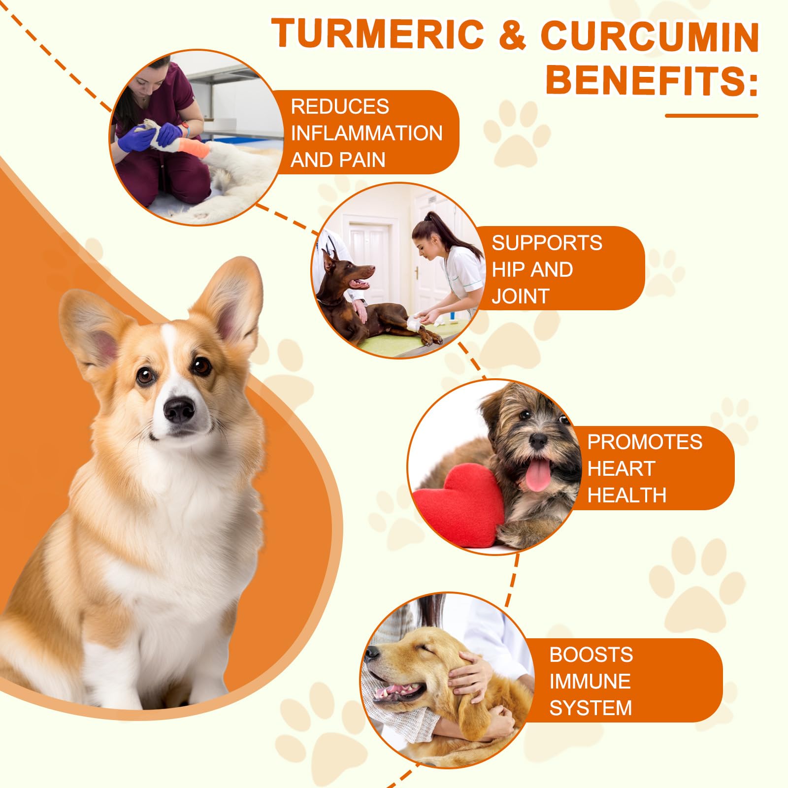 ALIVO Turmeric para perros, componentes clave y absorción mejorada.