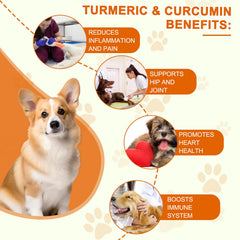 ALIVO Turmeric para perros, componentes clave y absorción mejorada.