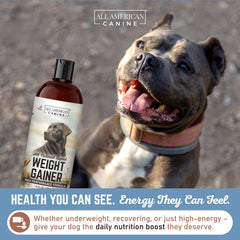 All American Canine aceite aguacate linaza para perros, favorece pelaje y energía