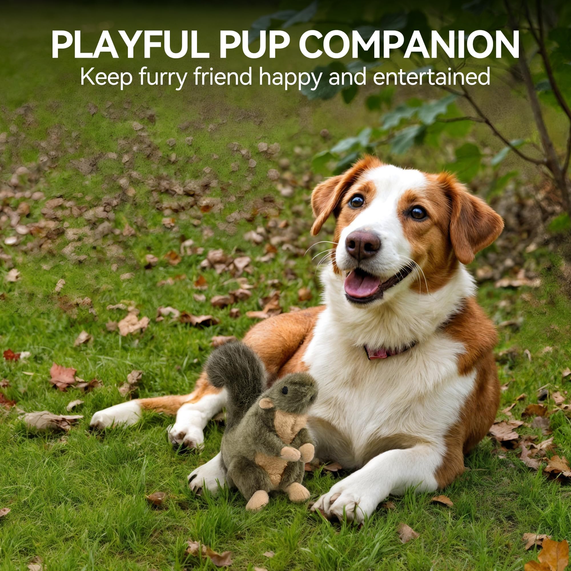 All For Paws Ardilla Clásico recomienda supervisión durante el juego.