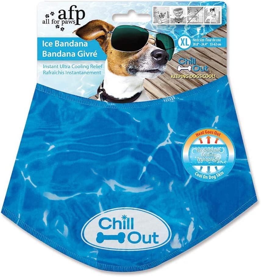 Parfait pour promenades et jeux, bandana ALL FOR PAWS bleu.