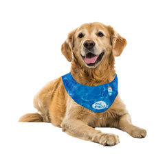 Bandana refroidissant ALL FOR PAWS bleu pour chien XL, vue face.