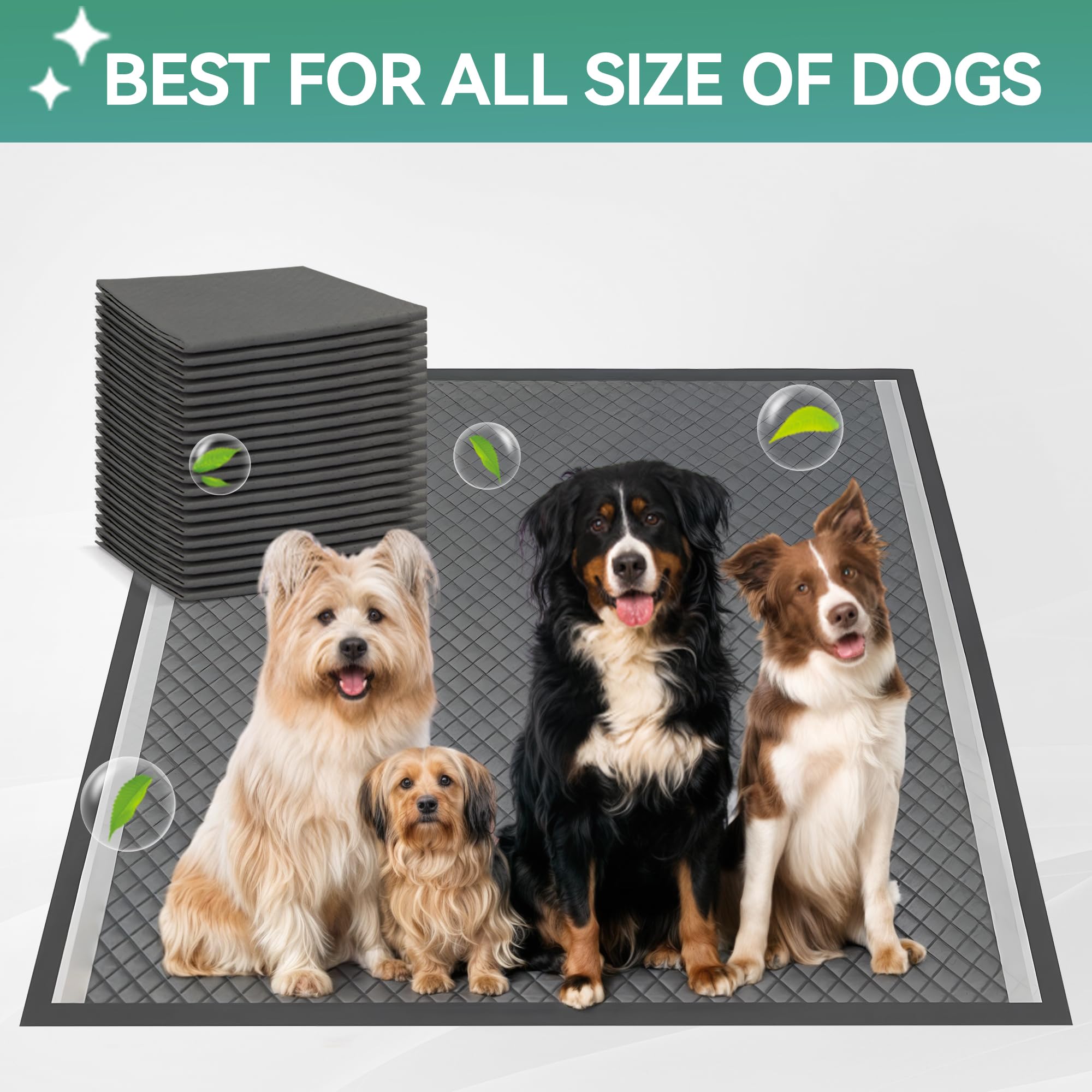 ALL FOR PAWS dimensiones 25x25, espacio amplio para perros.