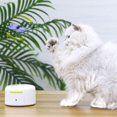 ALL FOR PAWS repuesto para mariposa, juego continuo en interior para gatos.
