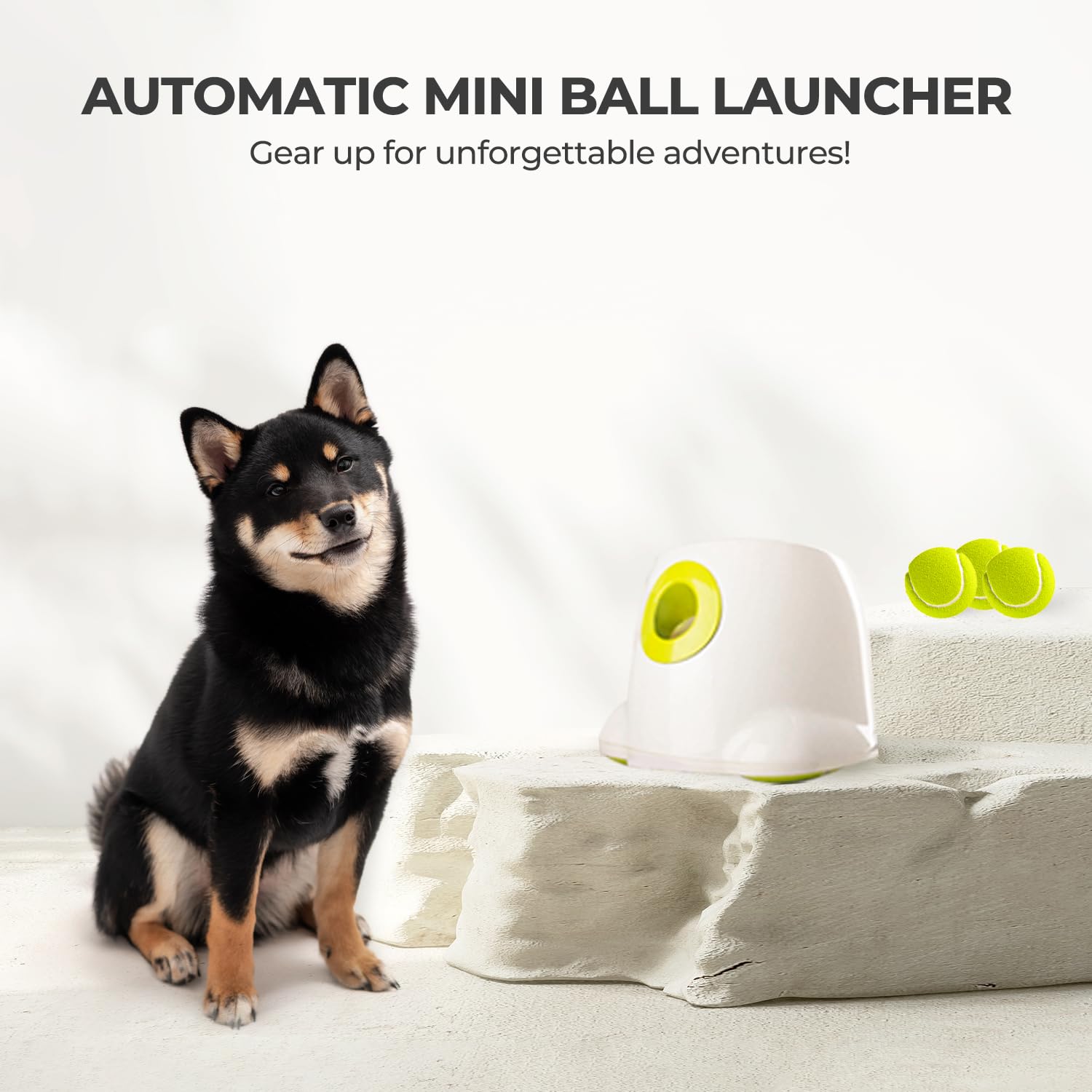 Juego independiente para perros con ALL FOR PAWS.