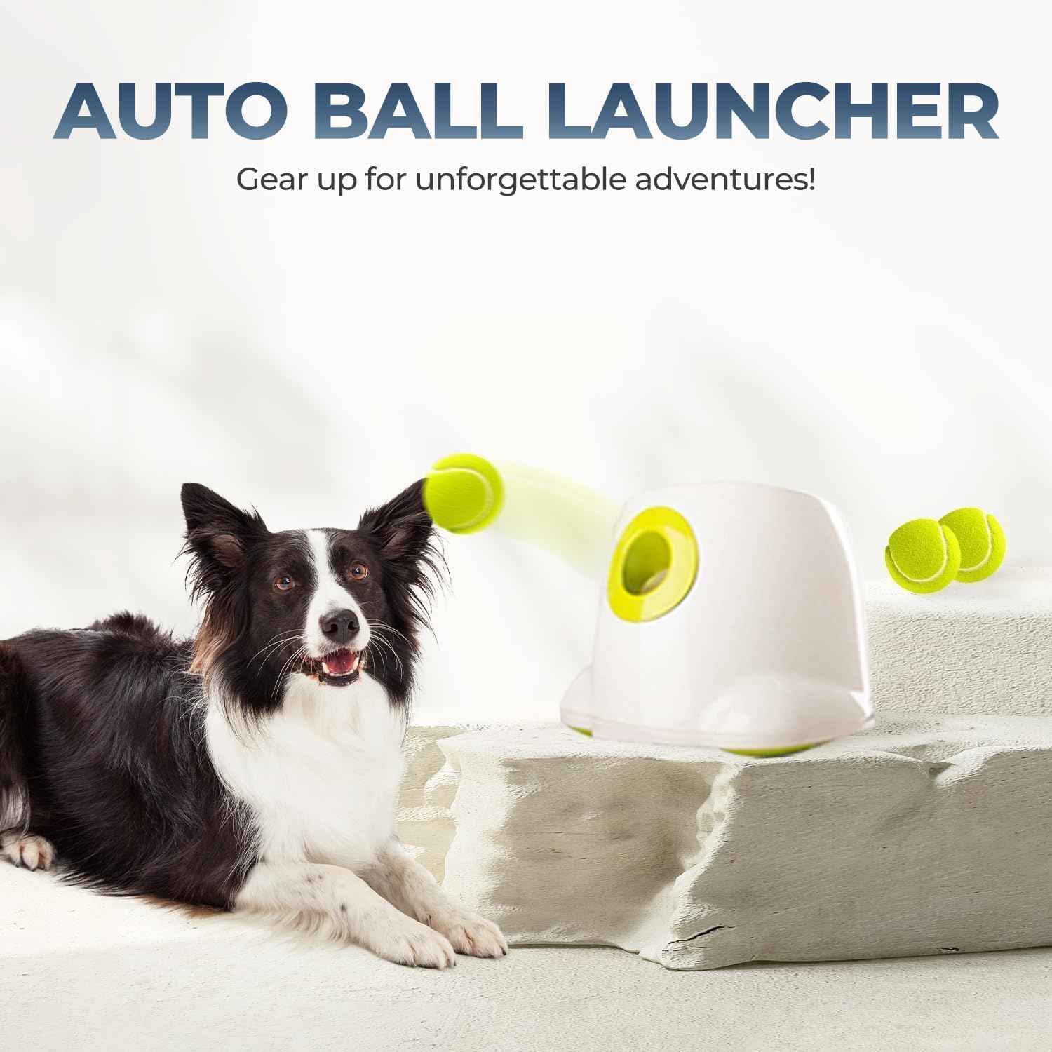 ALL FOR PAWS juego-interactivo: mantiene a tu perro entretenido y estimulado