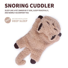 ALL FOR PAWS: Peluche de gato colorido para siestas reconfortantes.