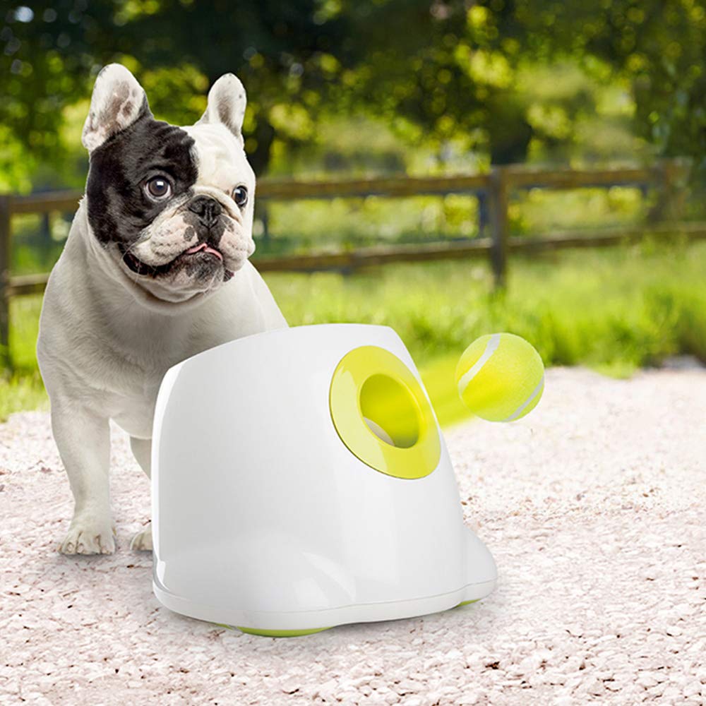 Lanzador ALL FOR PAWS en acción para perros pequeños, diversión interactiva.