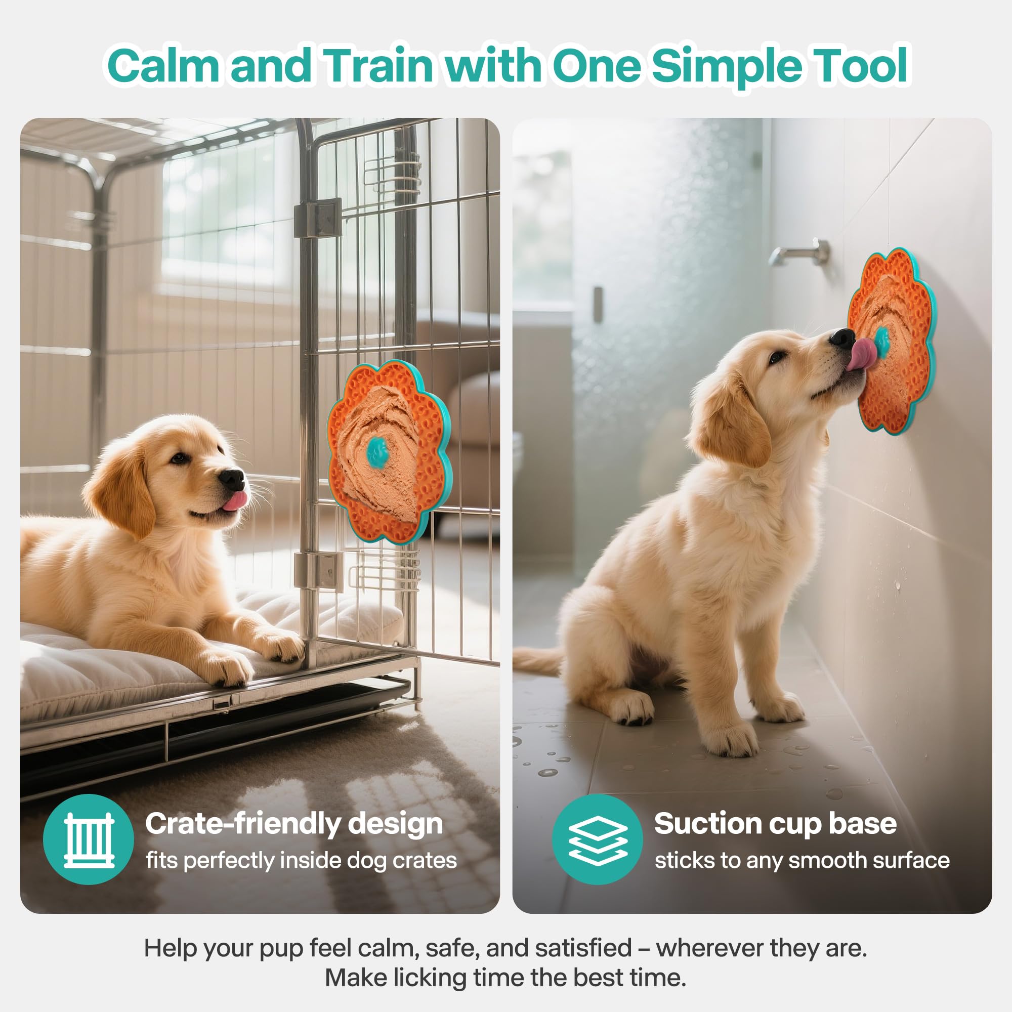 ALL FOR PAWS masticador apto para lavavajillas facilita la limpieza