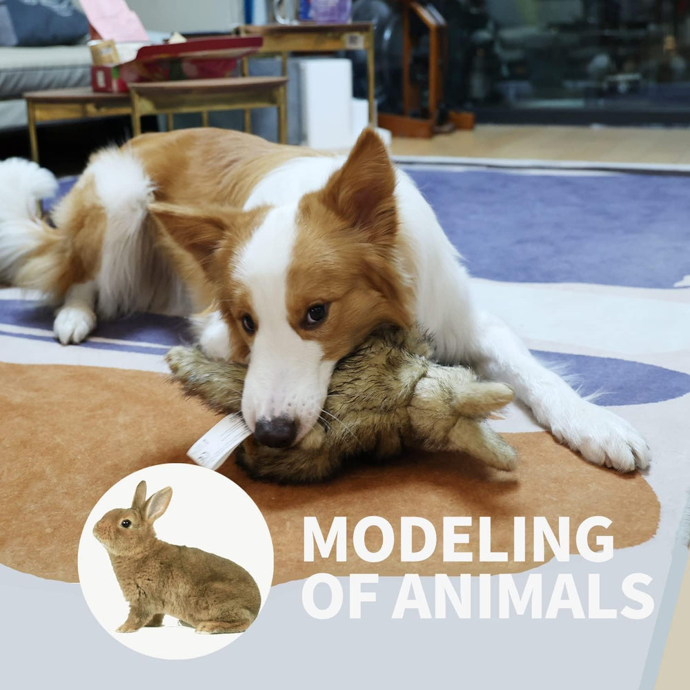 Regalo ideal para amantes de perros ALL FOR PAWS conejo juguete.
