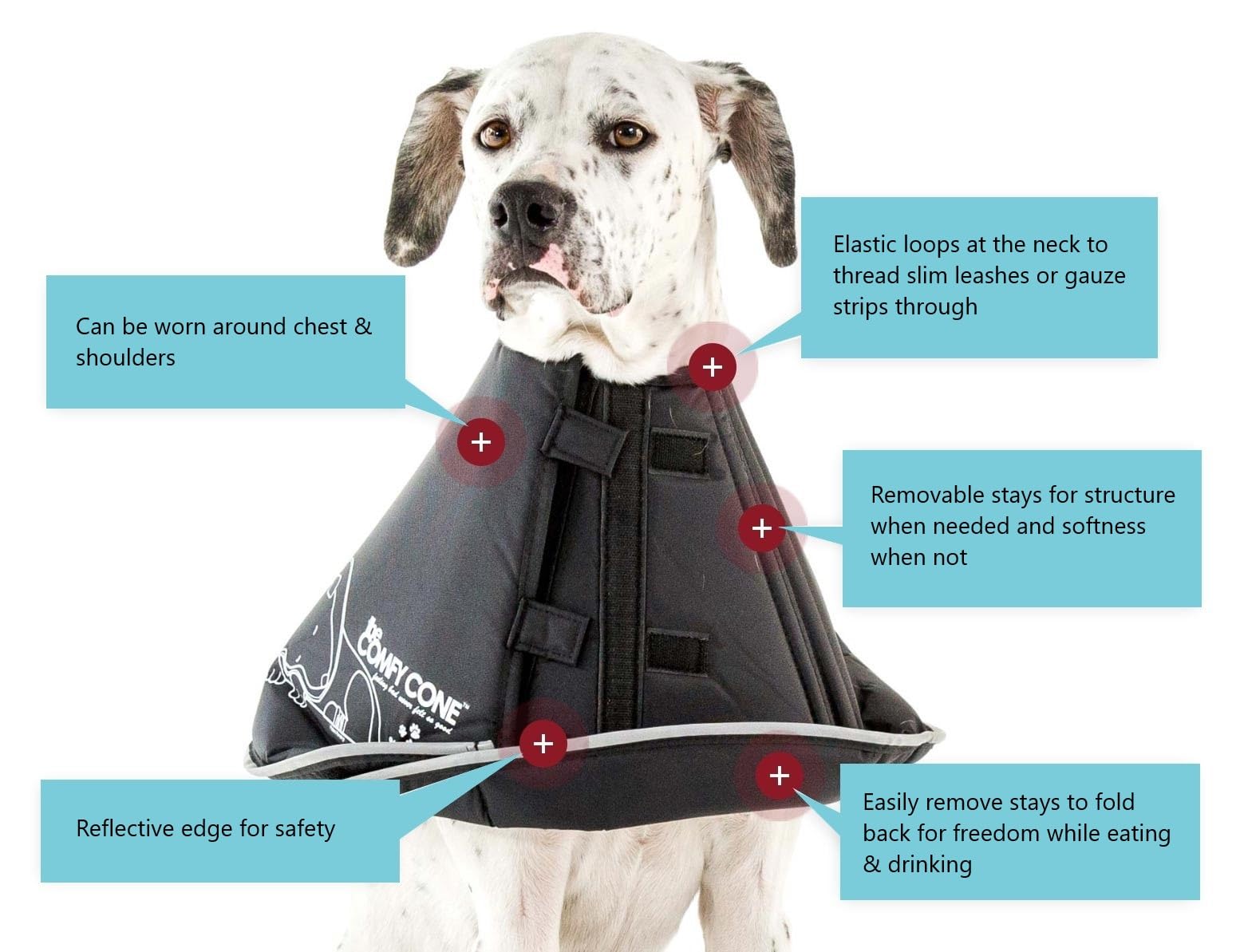 All Four Paws Comfy Cone con tiras de ajuste para un ajuste seguro.