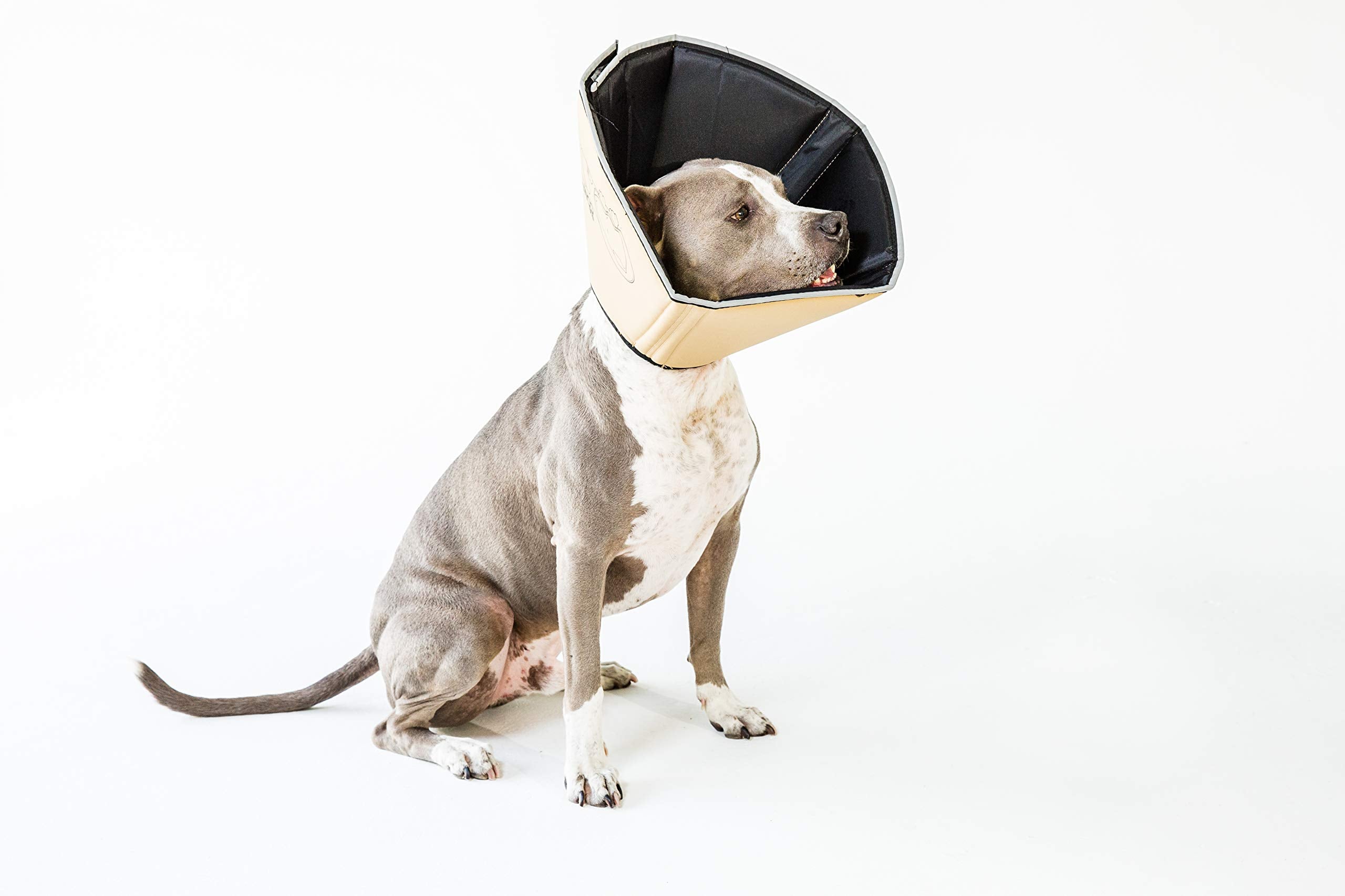 All Four Paws Comfy Cone con anillas para pasar el collar habitual